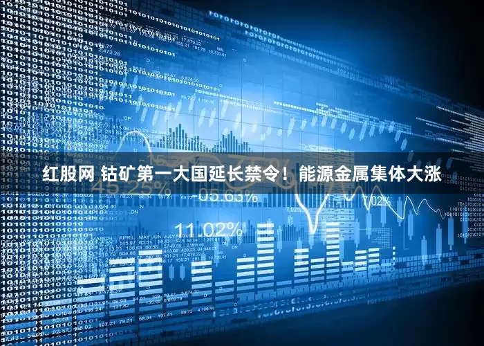 红股网 钴矿第一大国延长禁令！能源金属集体大涨