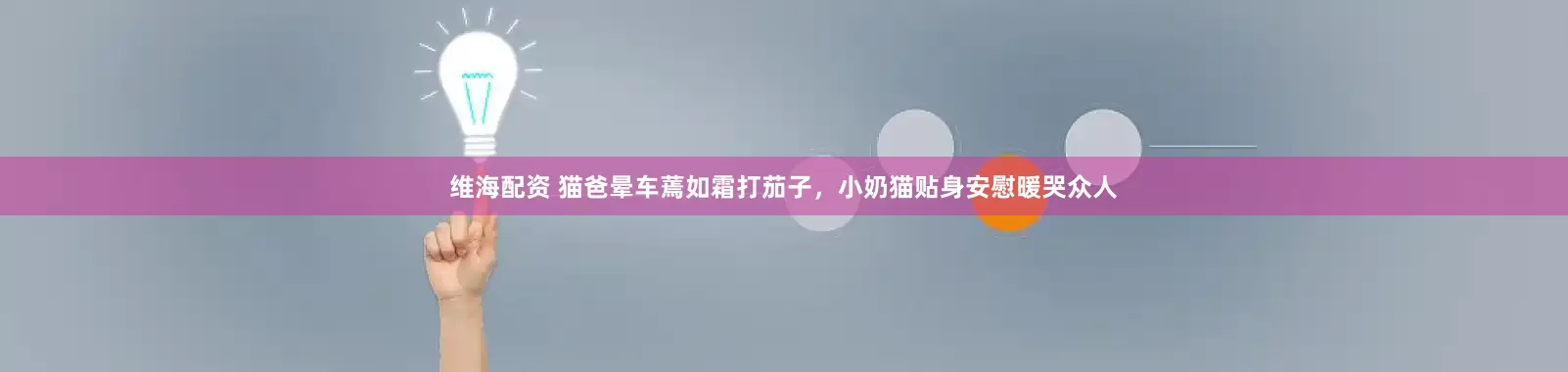 维海配资 猫爸晕车蔫如霜打茄子，小奶猫贴身安慰暖哭众人