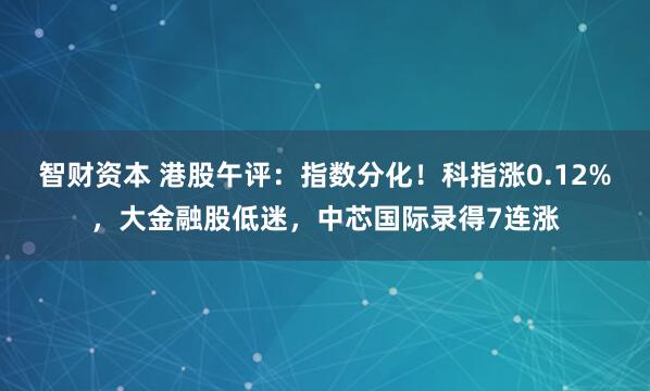 智财资本 港股午评：指数分化！科指涨0.12%，大金融股低迷，中芯国际录得7连涨