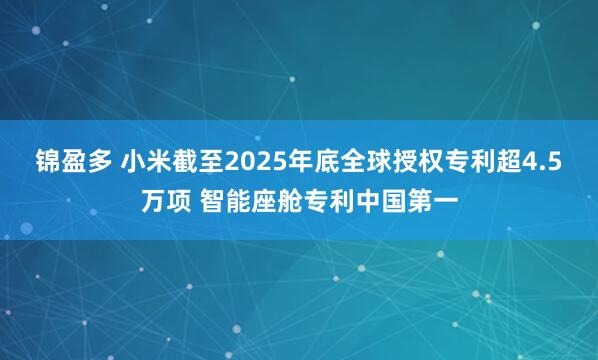 锦盈多 小米截至2025年底全球授权专利超4.5万项 智能座舱专利中国第一